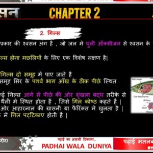 Mega PPT Digital Product एक 5
