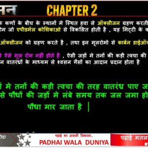 Mega PPT Digital 4