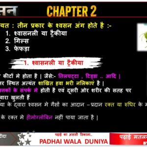 Mega PPT Digital Product 3